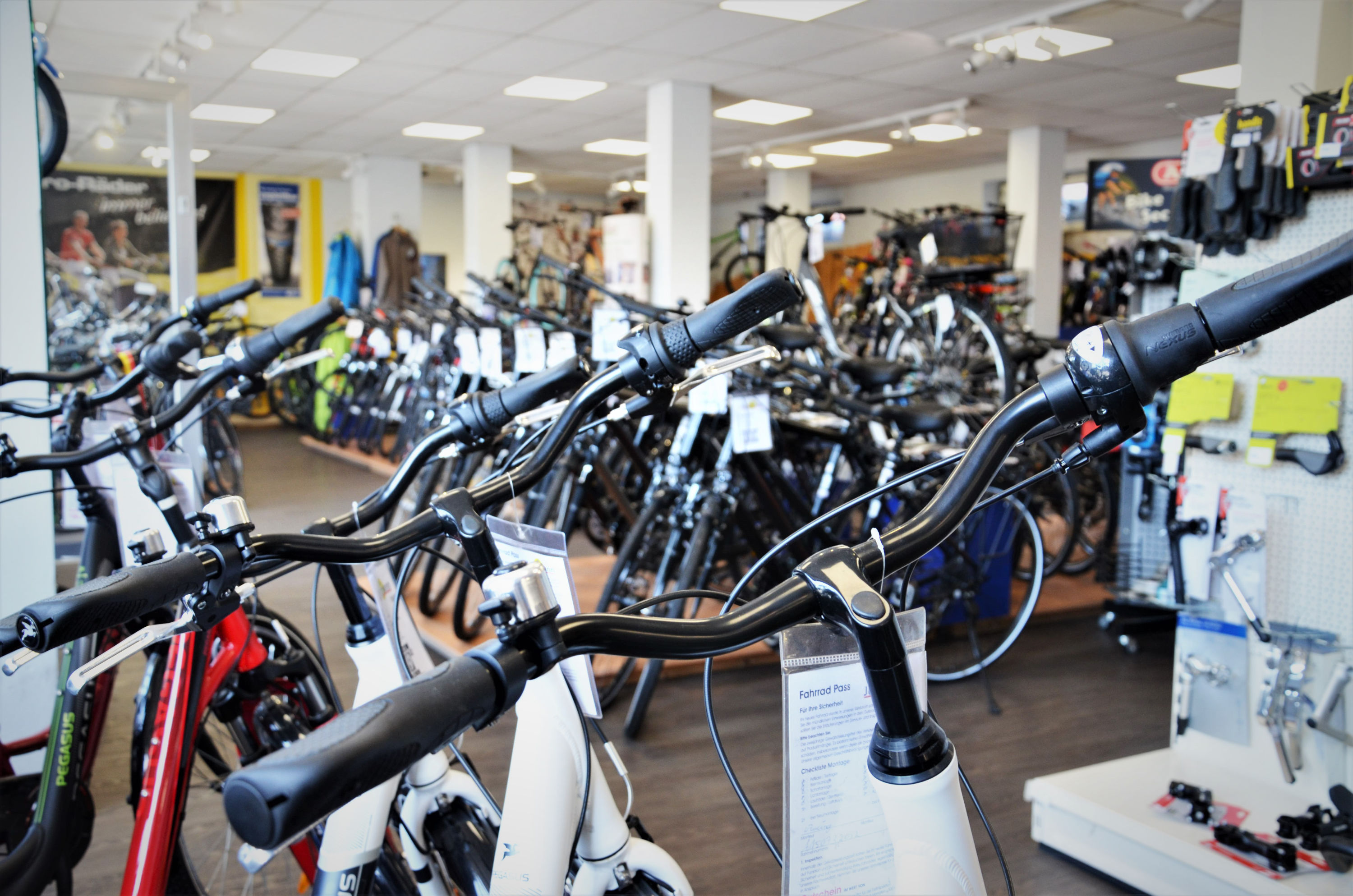FH-Jungmann-Laden-Bikes01